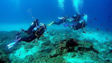 Diving Alonissos